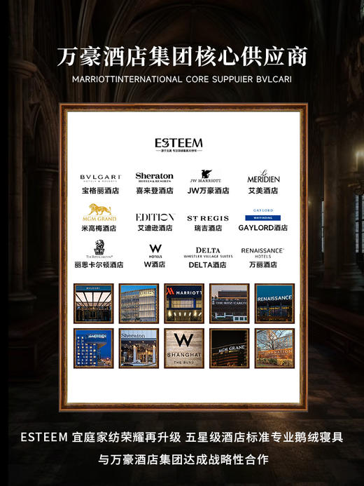 ESTEEM/宜庭金蝶信使全棉亲肤四件套床上用品套件【专柜同款】 商品图4