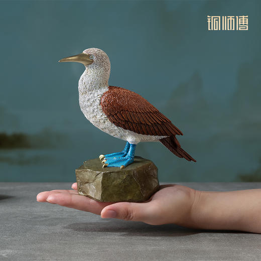 铜师傅 铜摆件《铜师傅百鸟集》之蓝脚鲣鸟 家居饰品 桌面摆件 商品图4