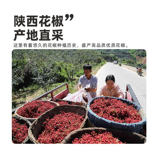 【顺丰】不多说，货到闻一鼻子，你就懂了！陕西富平大红袍花椒。这是我一直想找的那种花椒！ 商品图1