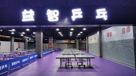 富顺益智乒乓球白天.人/时段（上午9:00-11:30，下午2:00-5:30）