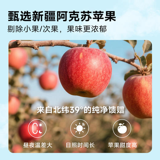 这个好吃！娃也非常爱！鲜蒸苹果干果脯，100%的苹果干！ 西藏 新疆选普通快递，顺丰超区 商品图12