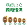 佳沛新西兰绿奇异果礼盒装12粒 (25-27粒 单果克重124-146g) 商品缩略图3