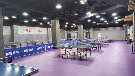 富顺益智乒乓球白天.人/时段（上午9:00-11:30，下午2:00-5:30） 商品图1