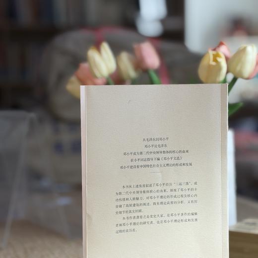 历史的选择：邓小平与他的时代 商品图7