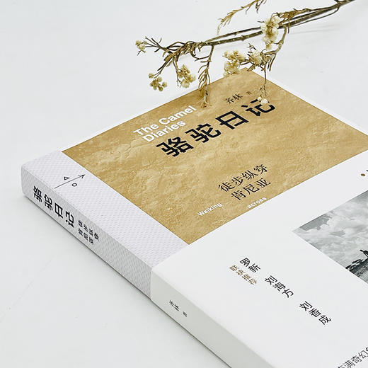 骆驼日记：徒步纵穿肯尼亚 商品图11