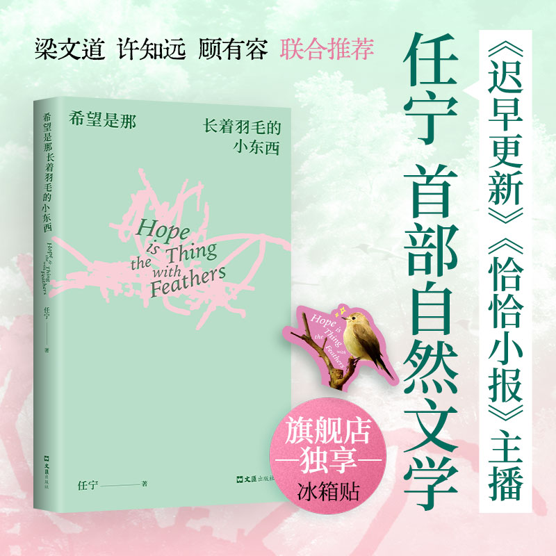 希望是那长着羽毛的小东西