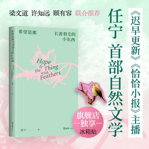 希望是那长着羽毛的小东西 商品图0