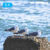 大连轻徒步 | 夏季友好山海徒步线·黄渤海双海穿越·旅顺深度人文 5日 商品缩略图7