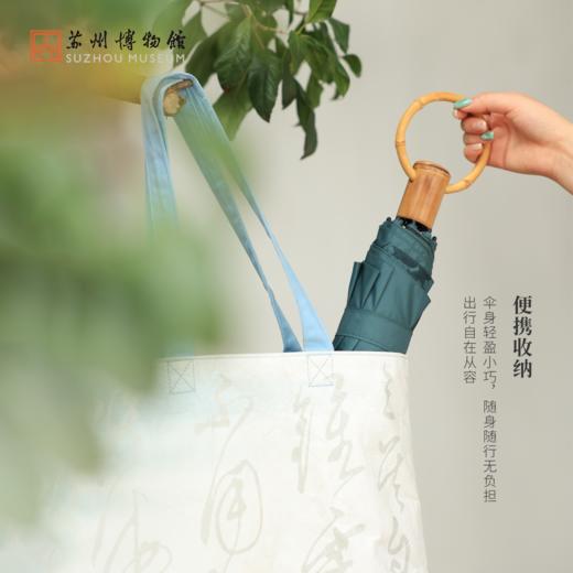 苏州博物馆 芭蕉/雨竹三折晴雨伞 商品图4