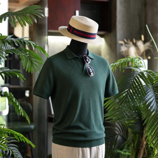 新款男士夏日绅士高级 丝棉V领polo/运动款T恤衫  三款多色可选 商品图8