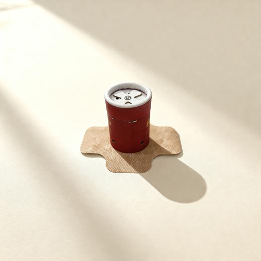 蕲艾小悬灸 商品图3