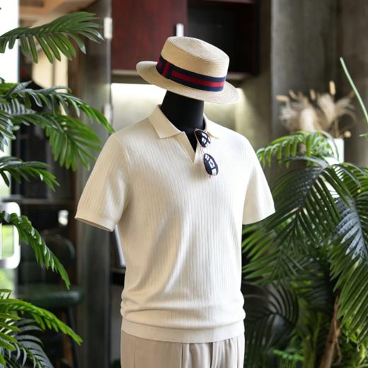 新款男士夏日绅士高级 丝棉V领polo/运动款T恤衫  三款多色可选 商品图6