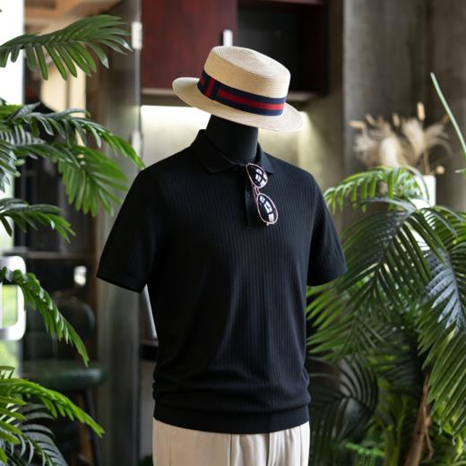 新款男士夏日绅士高级 丝棉V领polo/运动款T恤衫  三款多色可选 商品图10