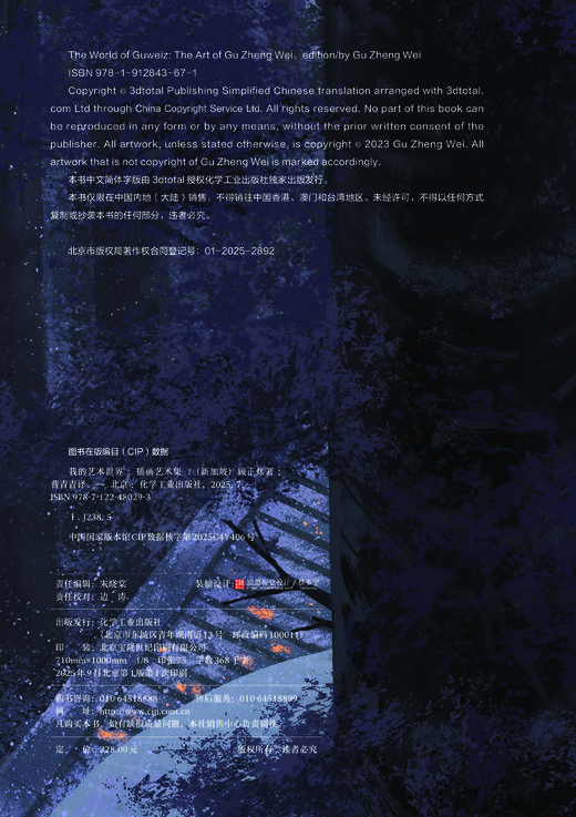 我的艺术世界：插画艺术集 商品图6