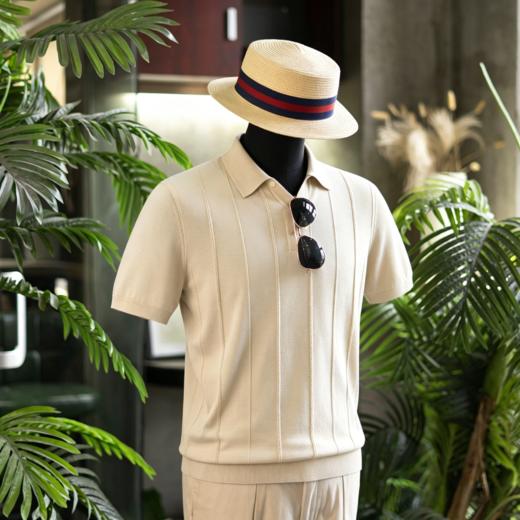 新款男士夏日绅士高级 丝棉V领polo/运动款T恤衫  三款多色可选 商品图2
