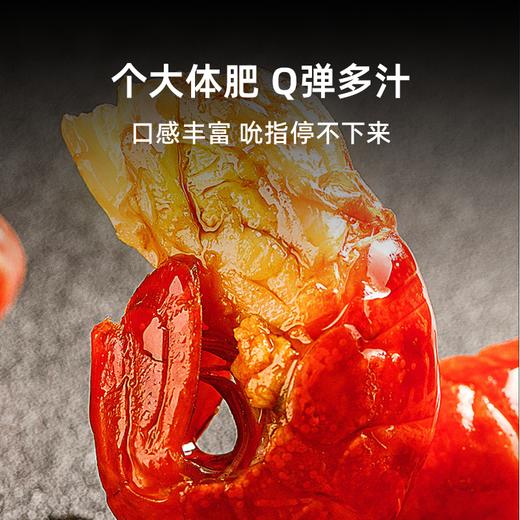 【到手3盒】渔家公秘制小龙虾 2026新虾 严选清水稻田虾 大师调味 活虾烧制 商品图1