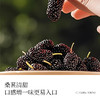 【618活动中】花之养五指毛桃茯苓膏  （原本的茯湿膏，配方没改只是名字改了，购买过的宝子放心购买！） 商品缩略图3