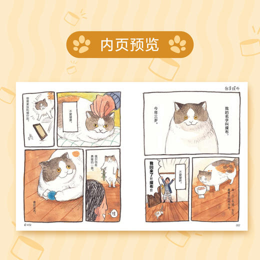 【限定印签寄语】摸布想自己赚罐罐 : 黑山的乌鸦原创故事集（随书赠品：Sitting in 711海报，猫条书签×3，The Living Room Cat明信片）志铭与狸猫——为奋斗的打工人推荐 商品图3