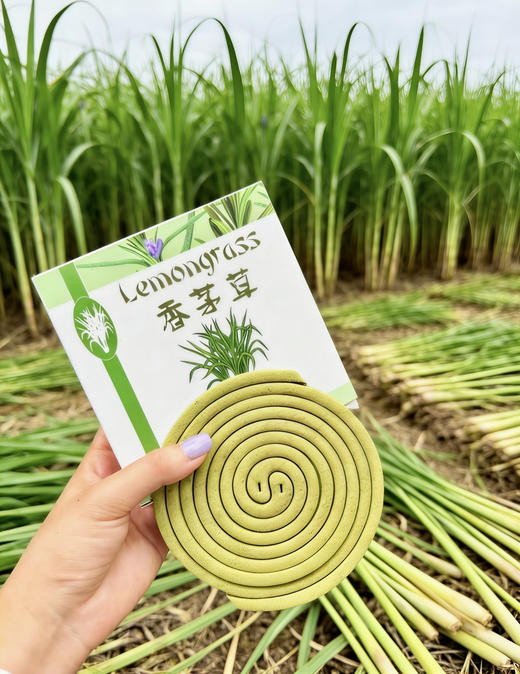 【香茅草驱蚊蚊香】天然香茅草制成，0农药0化学0驱虫剂，配了简易支架，拆开就能用，超方便! 商品图1