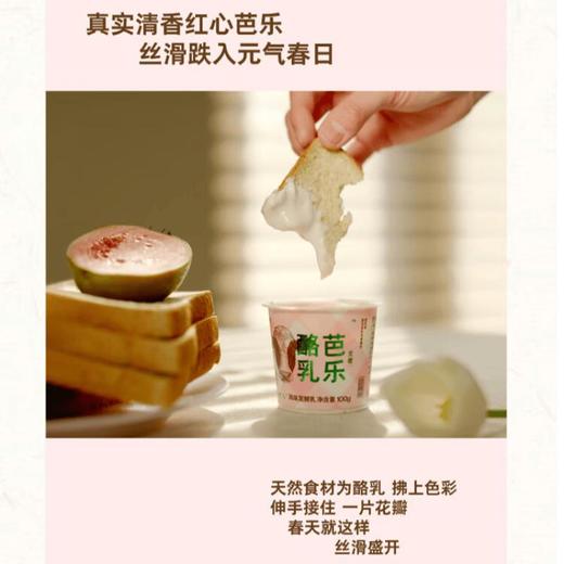 朝日唯品赏樱芭乐酪乳 商品图3