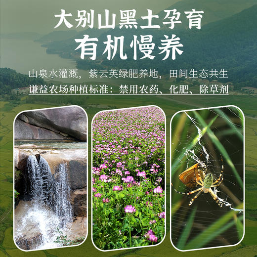 【2025年秋收】谦益香畴有机长香丝大米5斤 大别山区种植 传统老种子 清香软糯 健康安心 煮粥 煮饭 炒饭优选 商品图2