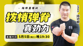 【5月5日】拨梢弹脊 真劲力