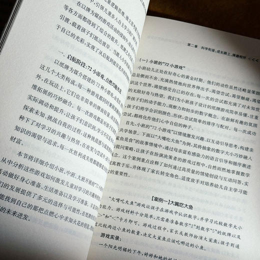 以牌为桥，彼岸花艳 秋月枫幼儿园幼小衔接活动的探索与反思 李莹 虞艳 商品图10