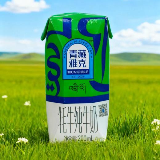 基地直发|青藏雅克牦牛纯牛奶 商品图3