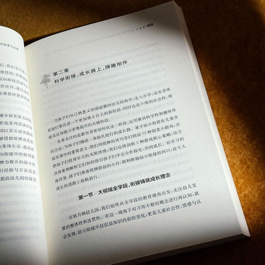 以牌为桥，彼岸花艳 秋月枫幼儿园幼小衔接活动的探索与反思 李莹 虞艳 商品图9
