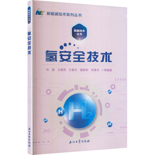 氢安全技术 商品图0