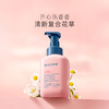 贝德美bodorme抑菌洗手液  泡沫型 商品缩略图4