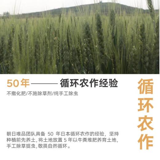 朝日唯品娟珊牛乳950ml 商品图2