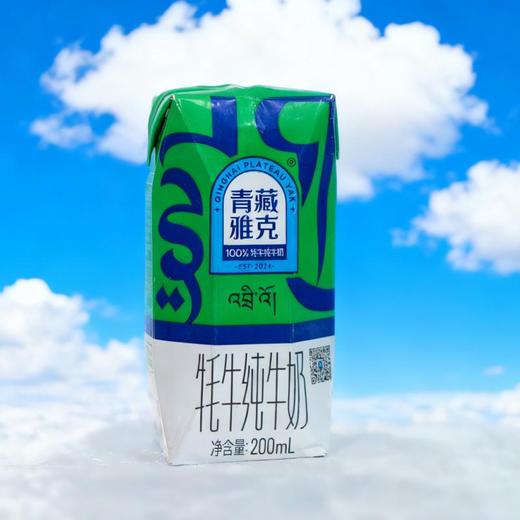 基地直发|青藏雅克牦牛纯牛奶 商品图2