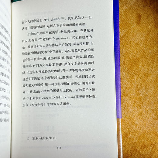 约瑟夫·鲁兰的人生 传记式虚构系列 皮埃尔·米雄 精装 商品图14