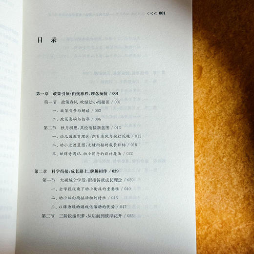 以牌为桥，彼岸花艳 秋月枫幼儿园幼小衔接活动的探索与反思 李莹 虞艳 商品图6