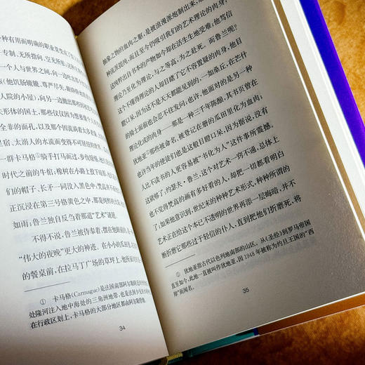 约瑟夫·鲁兰的人生 传记式虚构系列 皮埃尔·米雄 精装 商品图9
