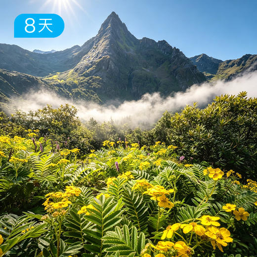 碧罗雪山大环线 横断山脉最后一处秘境 教堂秘境&牧场星河 54公里轻装远征 8日 商品图0