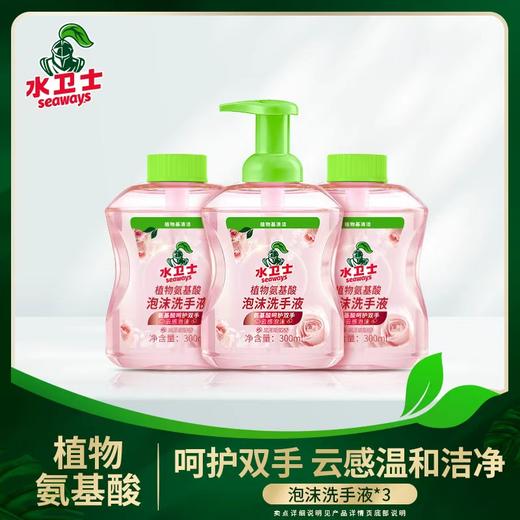 新品上新✨『泡沫洗手液』呵护双手 云感温和洁净 商品图0