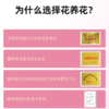 严选 | 花养花玫瑰精油15ml*3盒+精油喷雾150ml*2盒+1个刮痧板 商品缩略图4