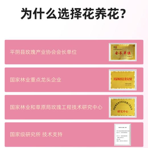 严选 | 花养花玫瑰精油15ml*3盒+精油喷雾150ml*2盒+1个刮痧板 商品图4