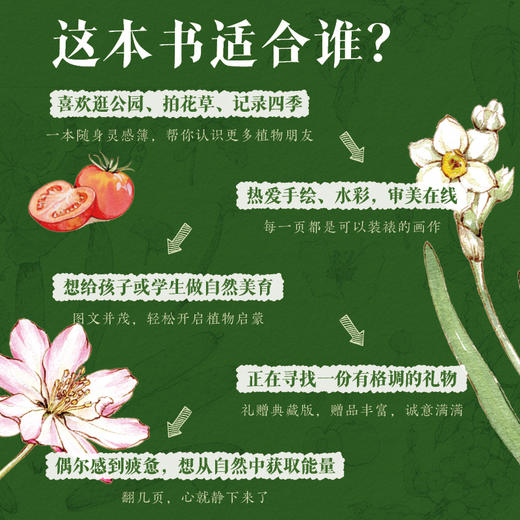 身边的植物观察图鉴（礼赠典藏版） 解锁多彩植物 来一场关于美的温柔邂逅 商品图3