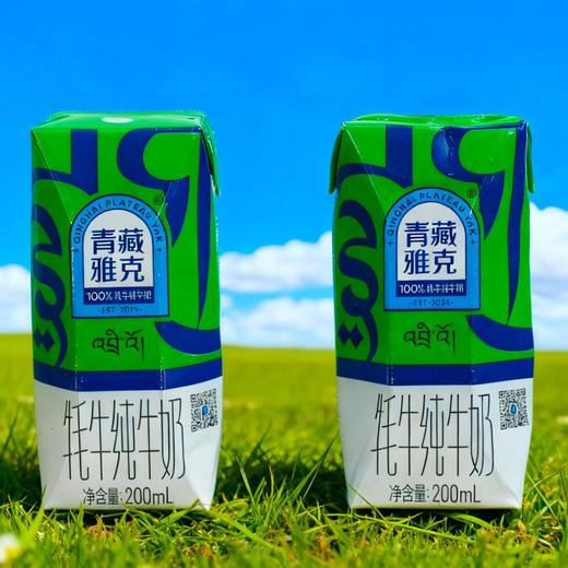 基地直发|青藏雅克牦牛纯牛奶 商品图1