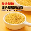 千年谷源敖汉有机黄小米5斤金苗K1月子小米杂粮辅食蒸饭更软糯过年送礼 /粮油调味 /杂粮 /谷米类 商品缩略图3