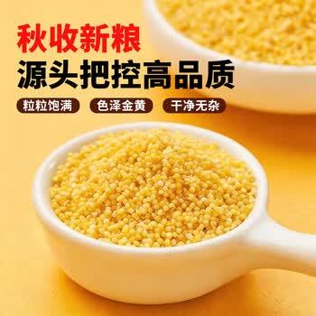 千年谷源敖汉有机黄小米5斤金苗K1月子小米杂粮辅食蒸饭更软糯过年送礼 /粮油调味 /杂粮 /谷米类 商品图3
