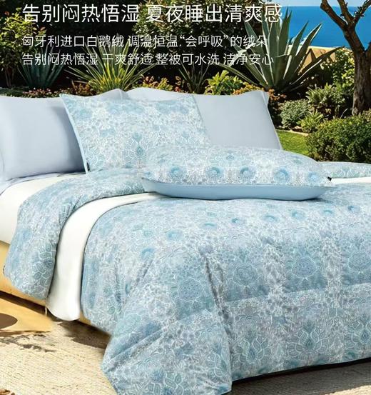 【店庆提前购】10楼 宜庭 布莱德可水洗鹅绒夏被 原价2380-3280元 活动价799-1199元 商品图0