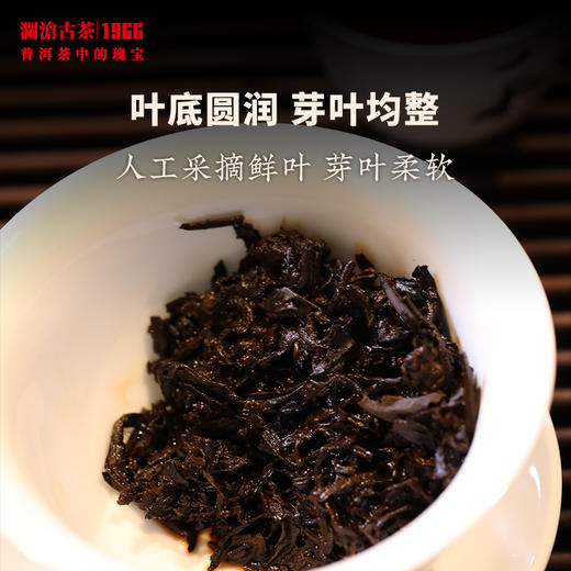 澜沧古茶2023年0081大饼熟茶普洱茶云南名茶性价比茶叶熟普整提 商品图4