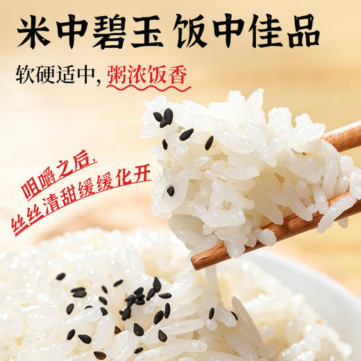 【2025年秋收】谦益香畴有机长香丝大米5斤 大别山区种植 传统老种子 清香软糯 健康安心 煮粥 煮饭 炒饭优选 商品图4