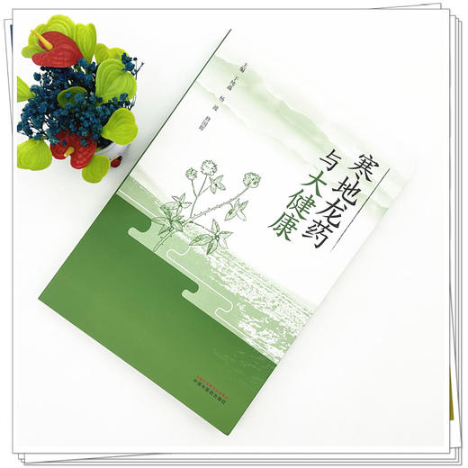 寒地龙药与大健康 于纯淼 杨波 修国辉 主编 中国中医药出版社 商品图1