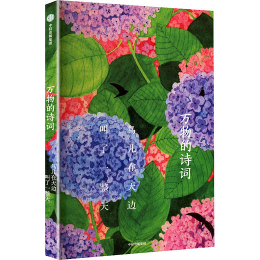 万物的诗词：鸟儿在天边叫了一整天 商品图0
