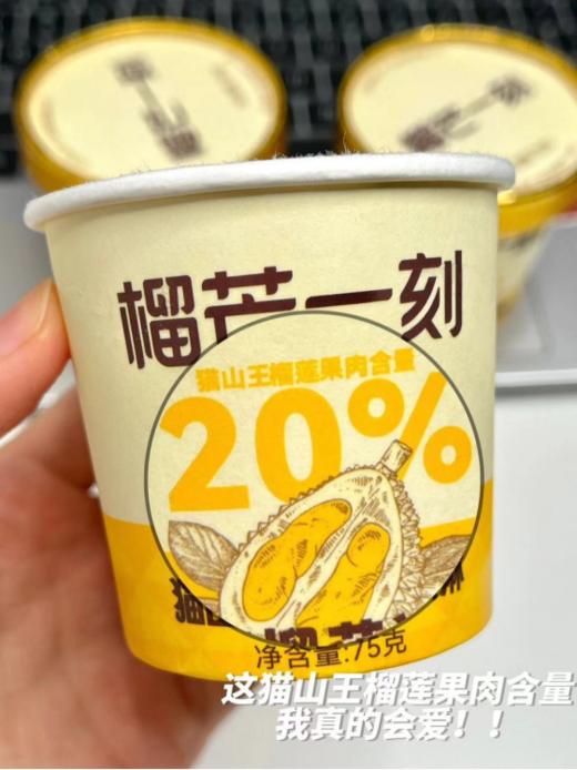 【一次吃到爽】榴芒一刻猫山王冰淇淋合集 🔥买就赠同款｜3 款规格随心选 商品图3
